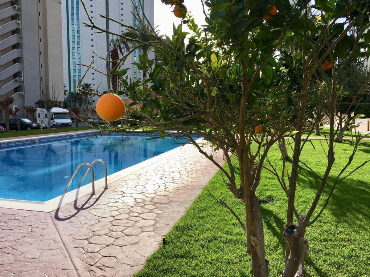 Beach Studio Apartment Hannibal La Cala Finestrat Benidorm Exteriör bild