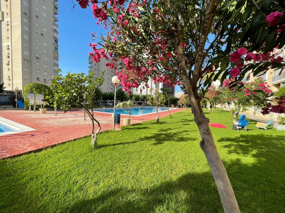 Beach Studio Apartment Hannibal La Cala Finestrat Benidorm Exteriör bild